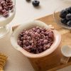 Leezen Wild Blueberry Granola ~ Vegan Taiwanese Food, Non-fried, Artificial Colorings Free, Artificial Flavors Free ~